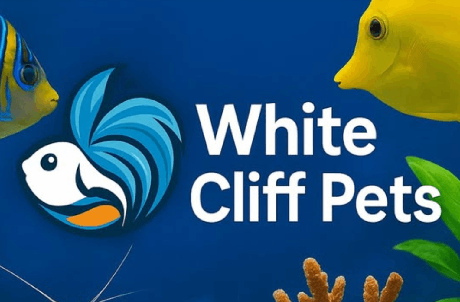 Lucys Aquatics / White Cliff Pets
